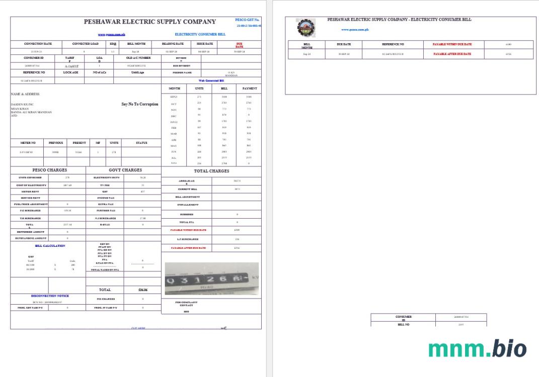 PAKISTAN PESHAWAR ELECTRIC SUPPLY COMPANY rachunek za usługi komunalne Word i szablon PDF